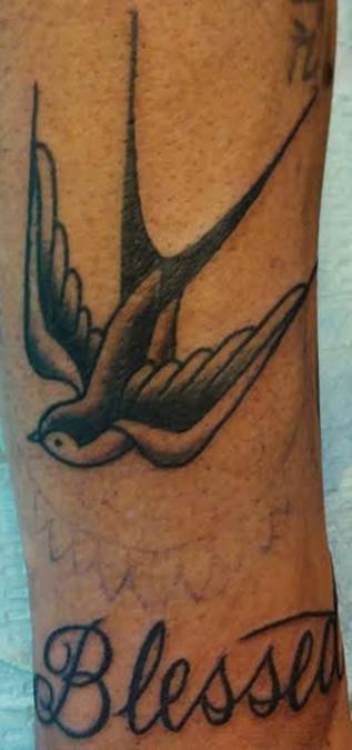 Tattoo Columbus Ohio Curtis Shepherd - Tattoo Swallow